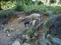 2009-05Corse (222)